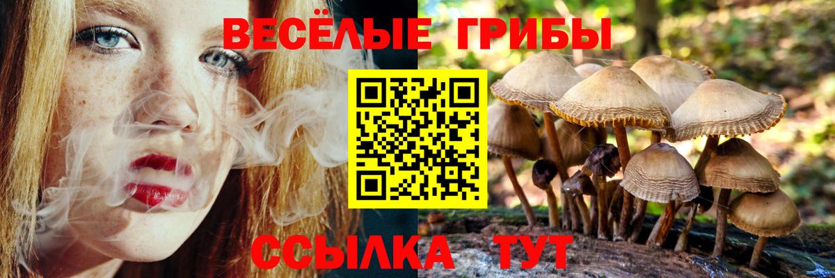 Псилоцибиновые грибы прущие грибы Знаменск