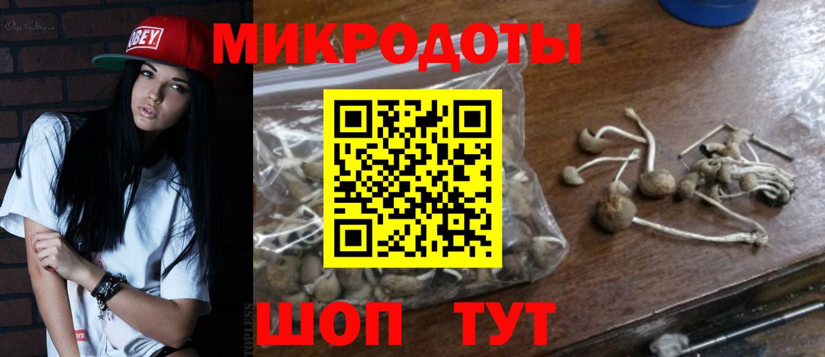 Знаменск  Псилоцибиновые грибы GOLDEN TEACHER  Вход с VPN  Галлюциногенные грибы Cubensis 